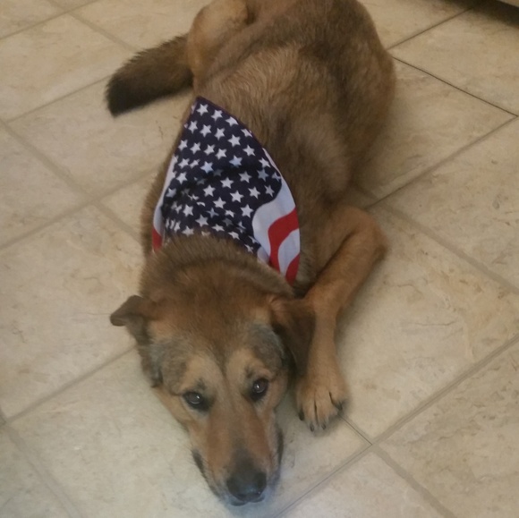 Meet your Posher, Tiffany - Picture 5 of 6